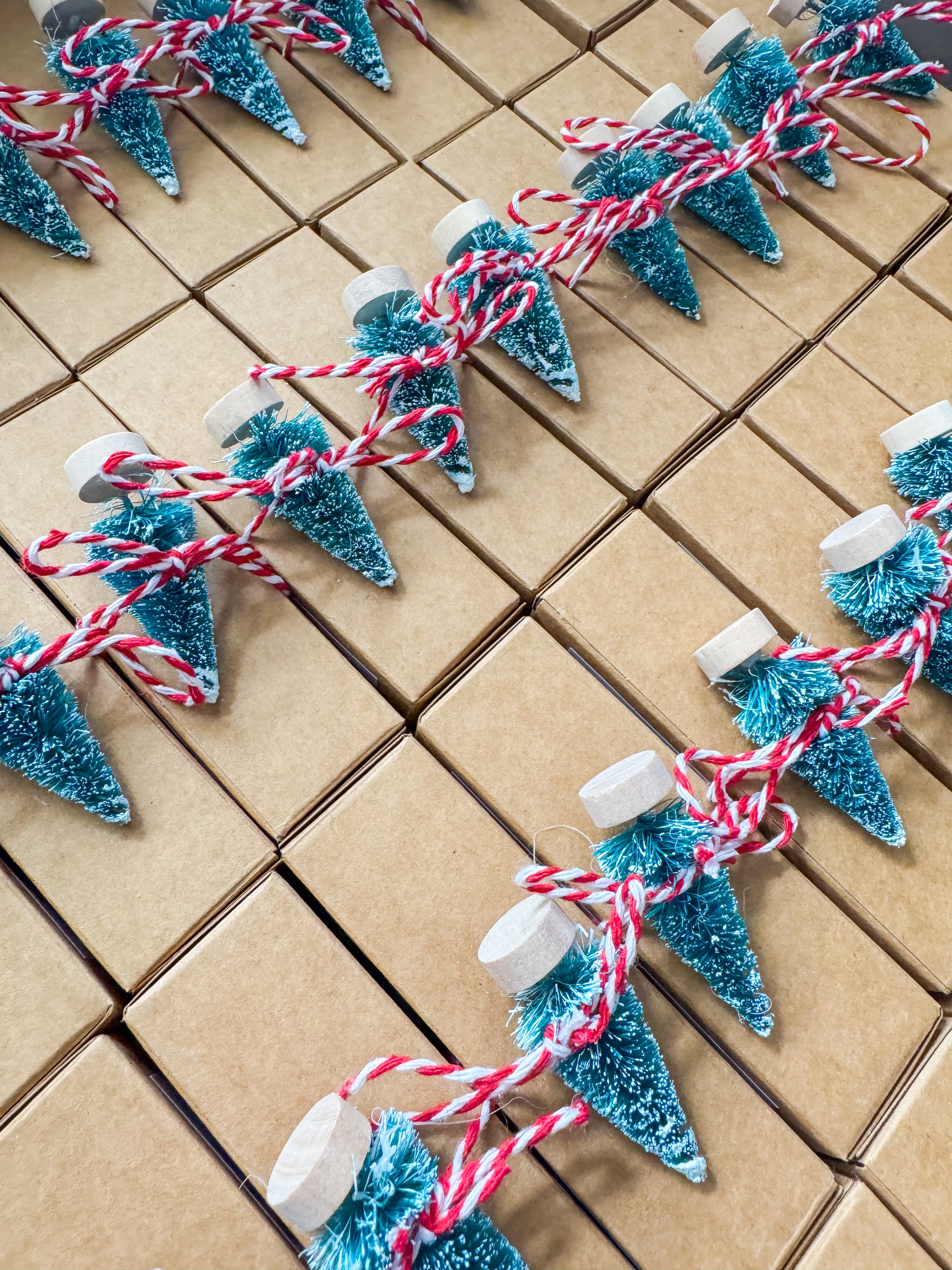 Avocado Pomegranate Soap