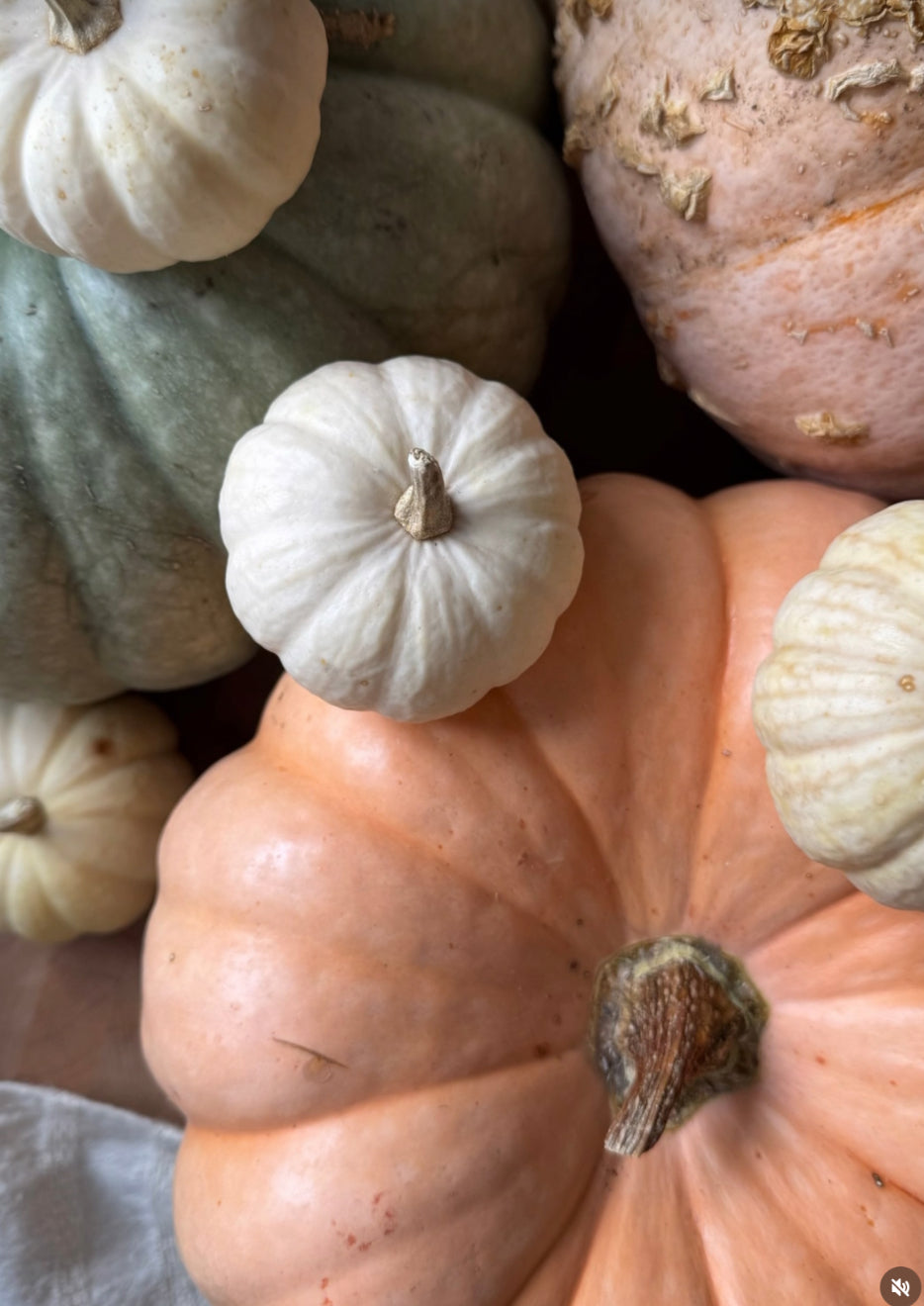 Spiced Pumpkin & Cranberry Soap