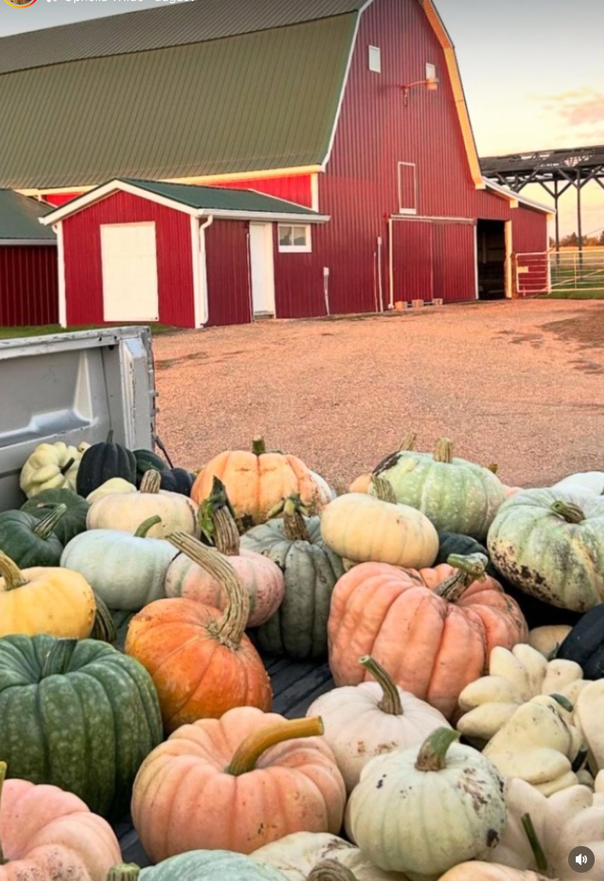Spiced Pumpkin & Cranberry Soap